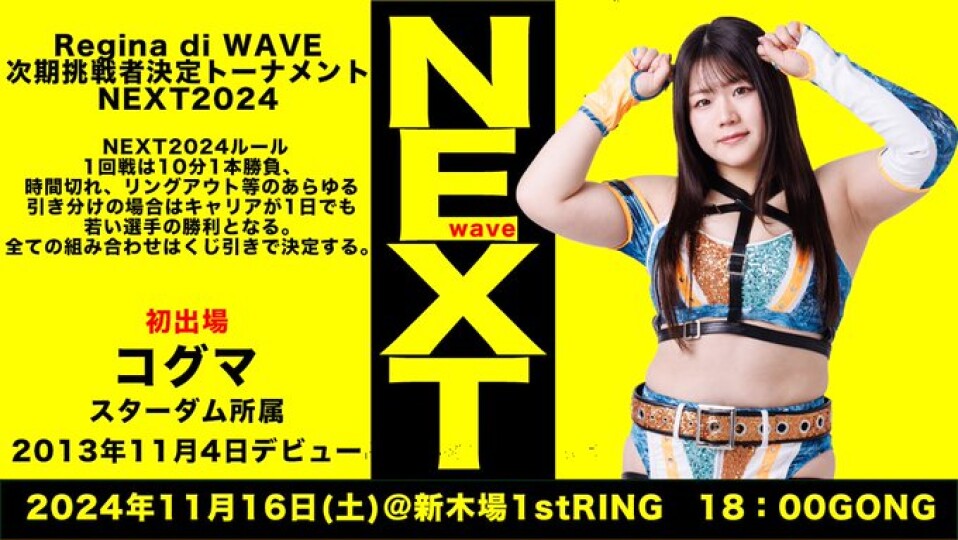 プロレスリングWAVE　SELECT BOUT 2016　上半期＆下半期 Amazon.co.jp: プロレスリングWAVE 2016下半期 SELECT BOUT