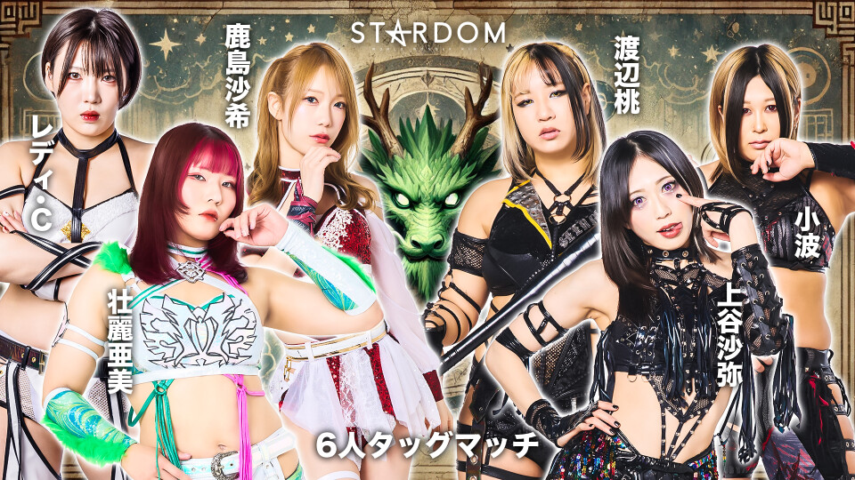 スターダム　ジュリア　テクラ　桜井まい　Donna del Mondoセット スターダム ジュリア テクラ 桜井まい Donna del Mondoセット