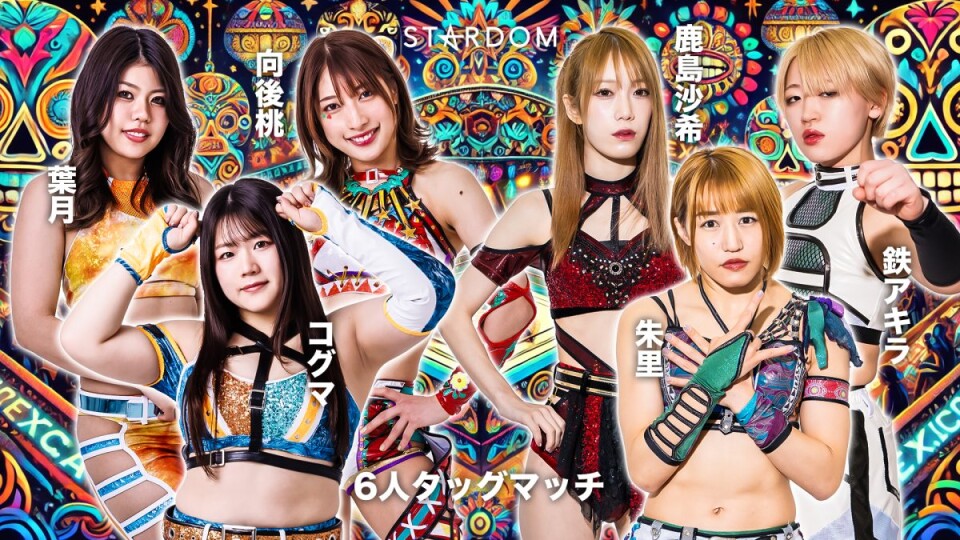 タッグチーム ◇6人タッグマッチ | Stardom World