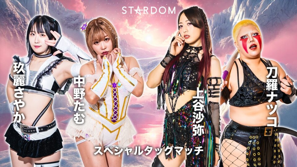 ◇スペシャルタッグマッチ | Stardom World